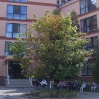 Galéria